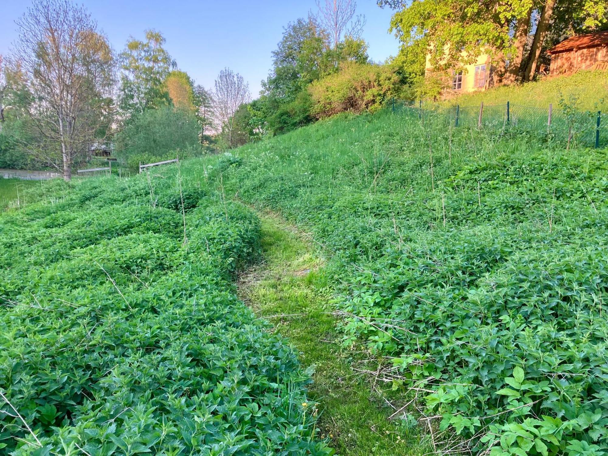 Lidhem Herrgard. Bed & Breakfast Och Mindre Laegenheter Виммербю Экстерьер фото