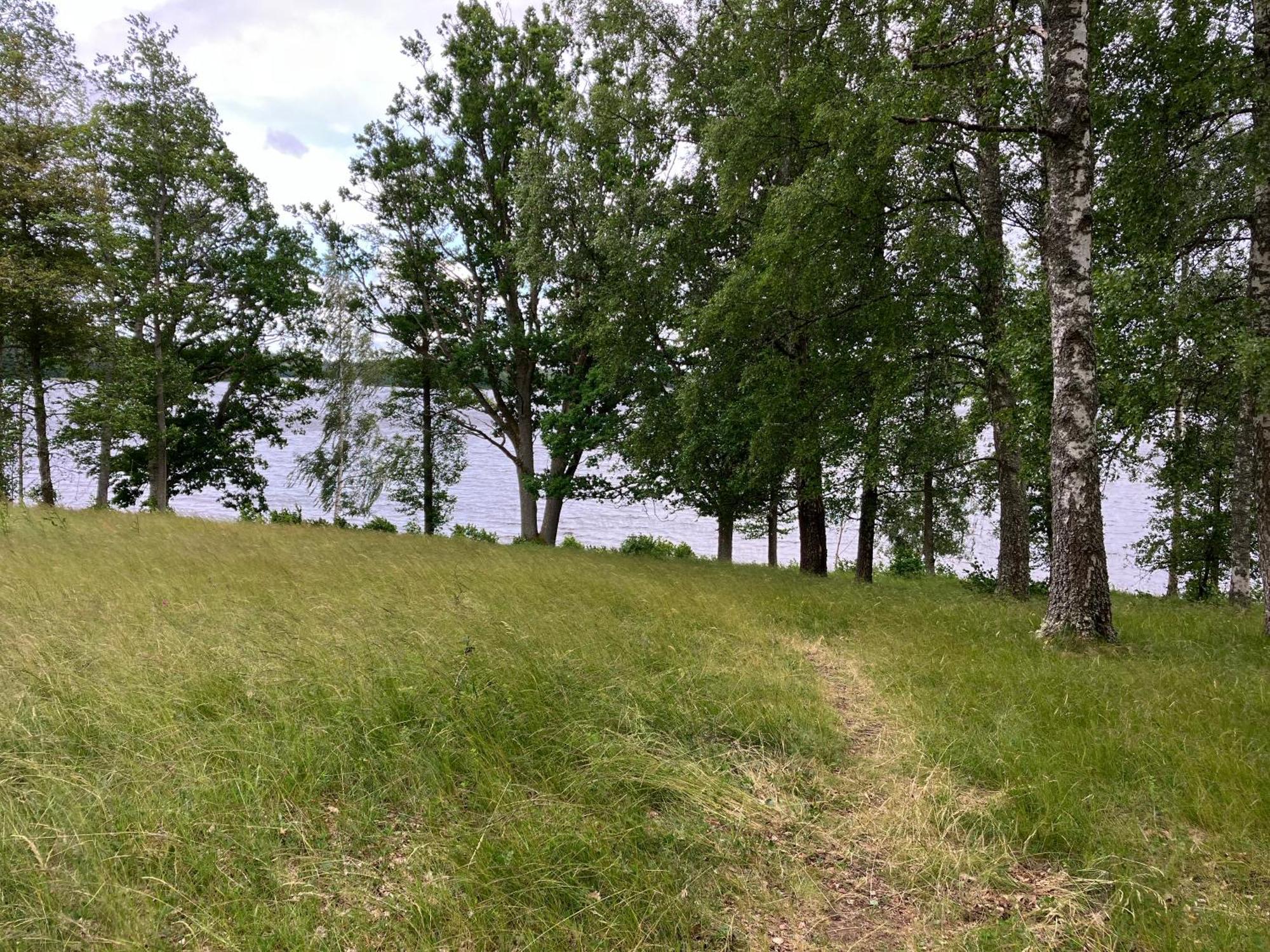Lidhem Herrgard. Bed & Breakfast Och Mindre Laegenheter Виммербю Экстерьер фото