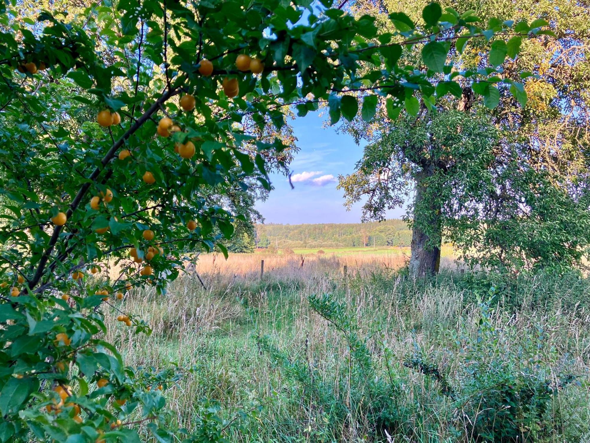 Lidhem Herrgard. Bed & Breakfast Och Mindre Laegenheter Виммербю Экстерьер фото